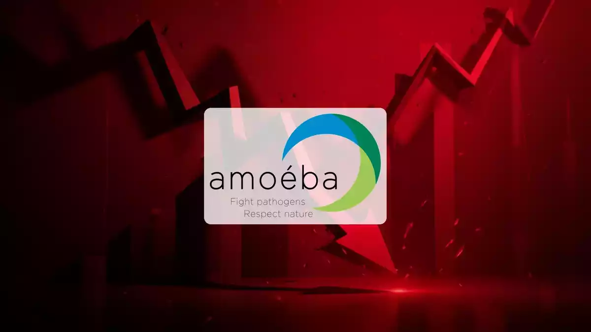 Amoéba nimmt 7,9 Millionen Euro ein und plant zweite Kapitalrunde