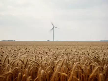 Ein weites goldenes Weizenfeld unter einem bewölkten Himmel mit der Silhouette einer Windkraftanlage am Horizont. - Foto: über boerse-global.de
