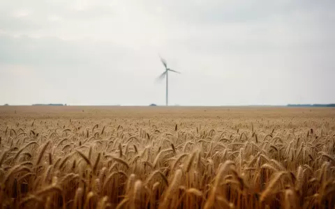 Ein weites goldenes Weizenfeld unter einem bewölkten Himmel mit der Silhouette einer Windkraftanlage am Horizont. - Foto: über boerse-global.de