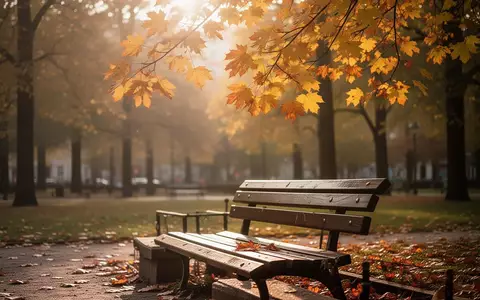 Ein leerer Parkplatz mit einer Bank in einem herbstlichen Berliner Park bei goldenem Licht. - Foto: über boerse-global.de