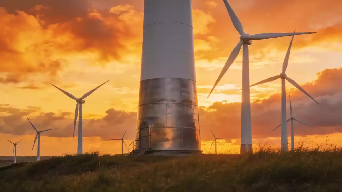 Vortex Energy: Meadows-Übernahme soll Anfang Oktober vollzogen werden