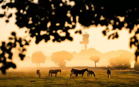Nachdem sich die morgendliche Kühle verzogen hat, wird es wieder Sommer.  - Foto: Julian Stratenschulte/dpa