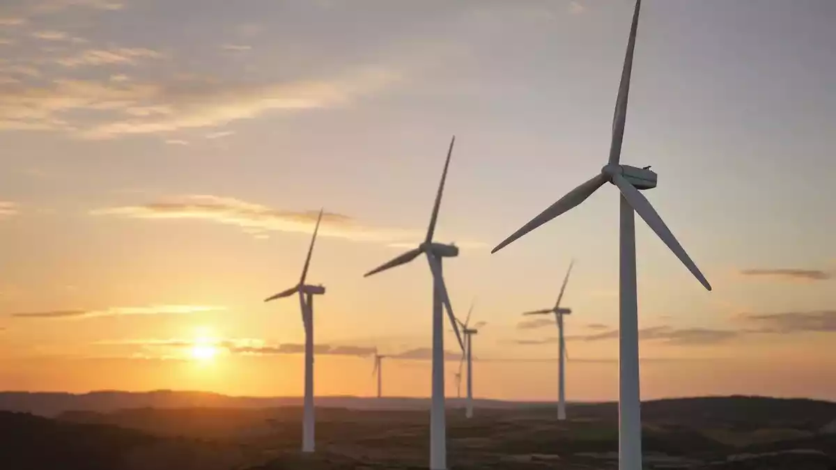 Vortex Energy Faces Twin Deadlines: Saskatchewan Deal and Newfoundland Survey