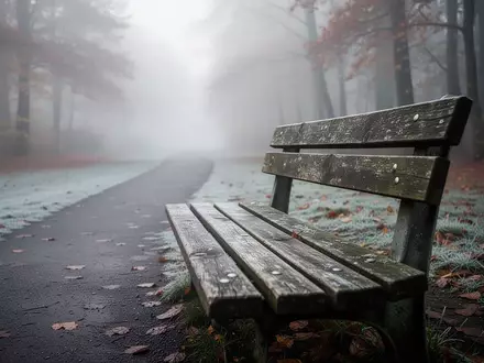 Ein einsamer, leerer Parkbank-Sitz auf einem herbstlichen Weg im Nebel, der die Stimmung von Einsamkeit und Isolation symbolisiert. - Foto: über boerse-global.de