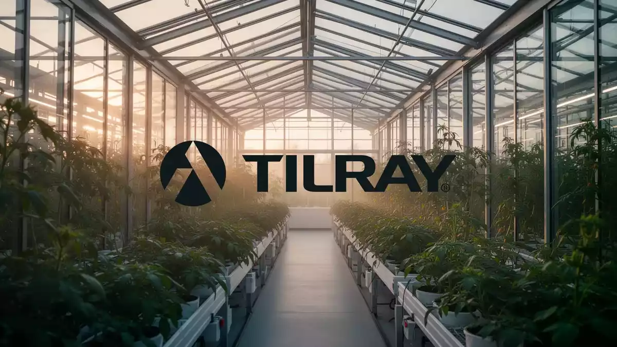 Tilray Brands: Quartalszahlen am 8. Oktober im Fokus der Anleger