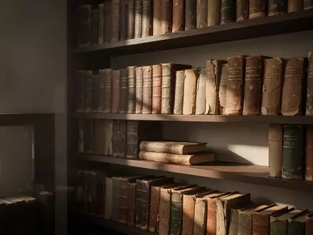 Ein ruhiges, sonnendurchflutetes Regal mit alten, gebundenen Büchern in einer minimalistischen Bibliothek. - Foto: über boerse-global.de