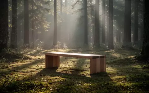 Eine leere Holzbank in einer ruhigen Waldlichtung im sanften Licht der Morgensonne. - Foto: über boerse-global.de