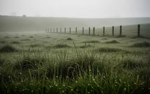 Eine weitläufige, grüne Weidelandschaft am frühen Morgen mit Morgentau auf dem Gras vor einem verschwommenen Holzzaun. - Foto: über boerse-global.de