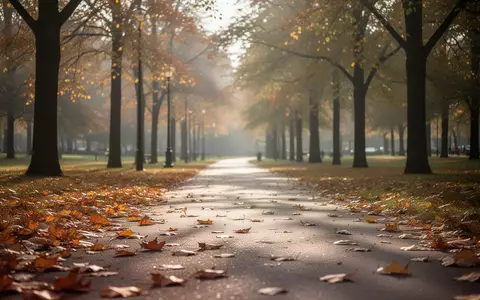 Ein sonnendurchfluteter Spazierweg in einem Park mit herbstlichem Laub am Boden. - Foto: ĂĽber boerse-global.de