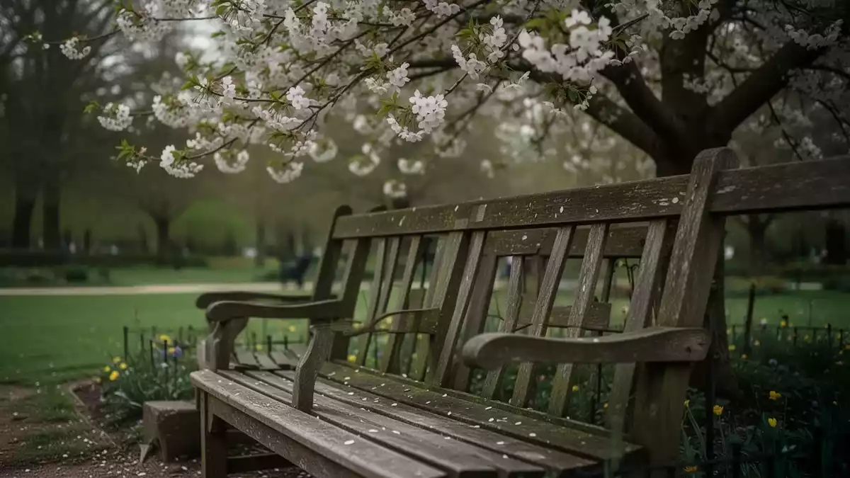 Kommunen schaffen mehr barrierefreie Sportangebote für ältere Menschen