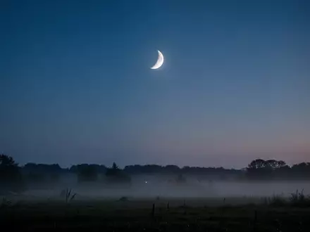Eine ruhige nächtliche Landschaft mit einer sichtbaren Mondsichel am klaren Abendhimmel. - Foto: über boerse-global.de