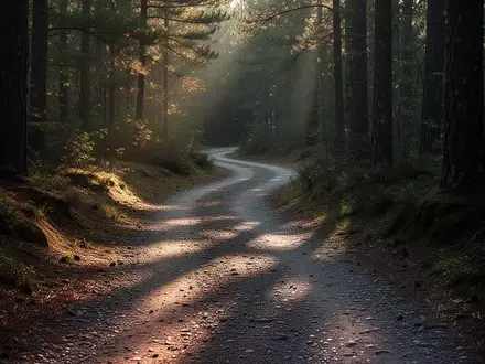 Ein kurvenreicher Waldweg im frühen Morgenlicht, der sich durch eine herbstliche Naturlandschaft schlängelt. - Foto: über boerse-global.de