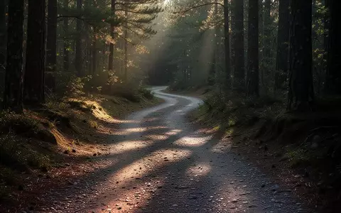 Ein kurvenreicher Waldweg im frĂŒhen Morgenlicht, der sich durch eine herbstliche Naturlandschaft schlĂ€ngelt. - Foto: ĂŒber boerse-global.de