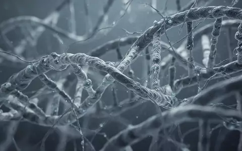 Abstrakte mikroskopische Darstellung einer komplexen biologischen Struktur, die an neuronale Netzwerke erinnert. - Foto: über boerse-global.de