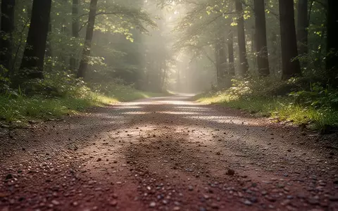 Ein von Sonnenlicht durchfluteter Waldweg, der zum Laufen im Freien einlädt. - Foto: über boerse-global.de