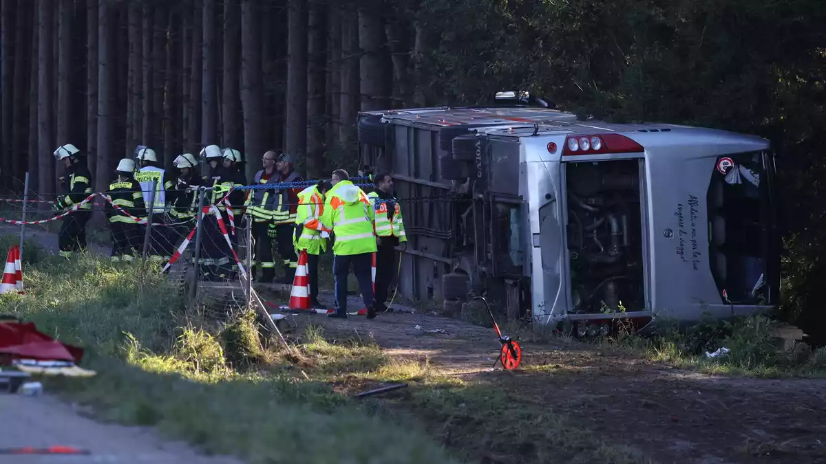 Ein Reisebus ist bei Buchloe im Allgäu von der A96 abgekommen. - Bild: Karl-Josef Hildenbrand/dpa