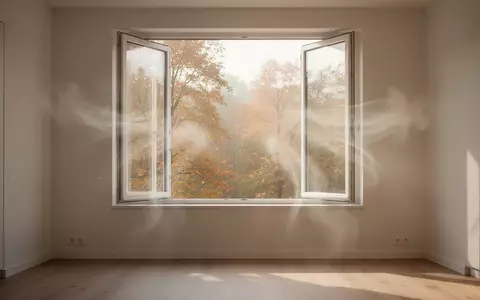 Ein helles, minimalistisch eingerichtetes Zimmer mit einem weit geöffneten Fenster in einer ruhigen herbstlichen Umgebung. - Foto: über boerse-global.de