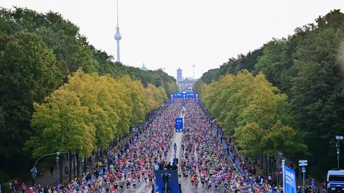 Tausende Menschen nahmen am Berlin-Marathon teil. - Bild: Sebastian Gollnow/dpa