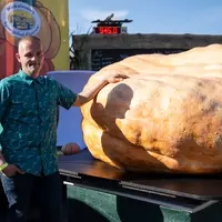 Der schwerste Kürbis bei der Kürbiswiegemeisterschaft in Klaistow von Oliver Grafe ist rund 942 Kilogramm schwer. - Foto: Christophe Gateau/dpa