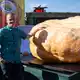 Der schwerste Kürbis bei der Kürbiswiegemeisterschaft in Klaistow von Oliver Grafe ist rund 942 Kilogramm schwer. - Bild: Christophe Gateau/dpa