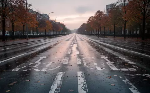 Eine menschenleere, nasse Asphaltstraße einer Marathonstrecke an einem bewölkten Tag. - Foto: über boerse-global.de