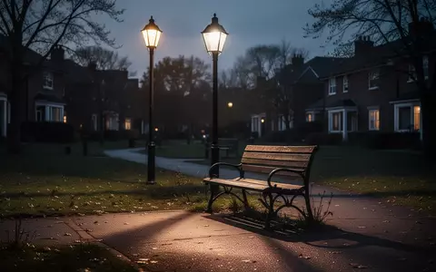 Eine leere Parkbank unter einer Straßenlaterne in der Dämmerung, die Einsamkeit und sozialen Druck symbolisiert. - Foto: über boerse-global.de