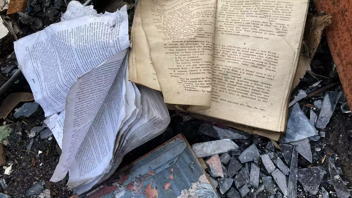Auf dem Bücherbasar Petriwka sind viele Tausend Bücher verbrannt. (Archivbild) - Bild: Friedemann Kohler/dpa