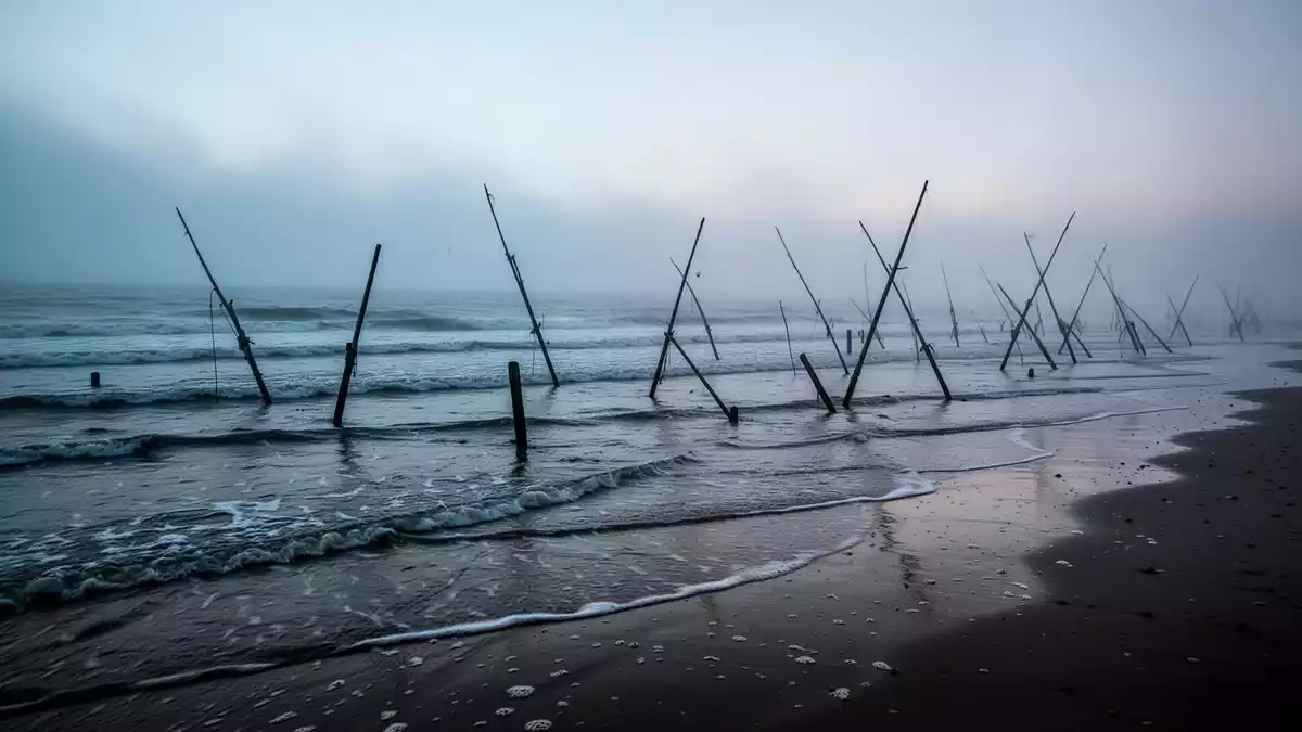 Homann erweitert Nordsee- und Nadler-Sortiment um Fischgerichte