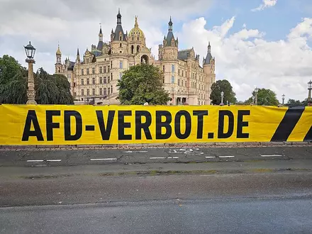 Demo für AfD-Verbot vor dem Landtag von Mecklenburg-Vorpommern (Archiv) - Foto: via dts Nachrichtenagentur