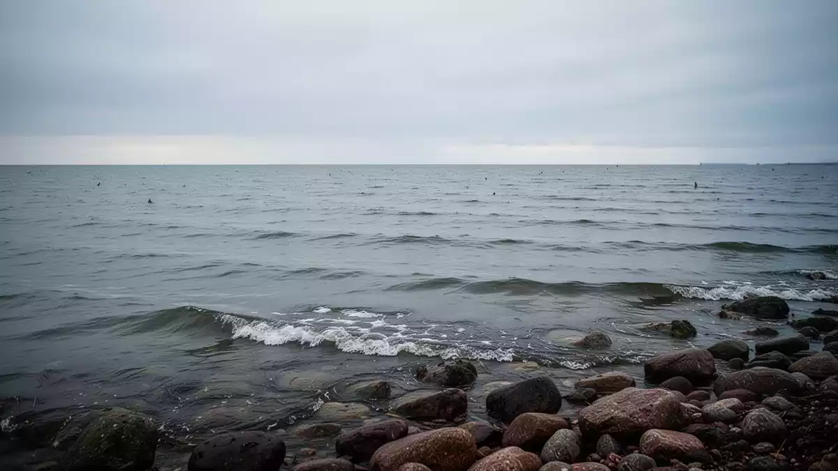 Diclofenac in der Ostsee: Wie Verschreibungen den Eintrag mindern könnten