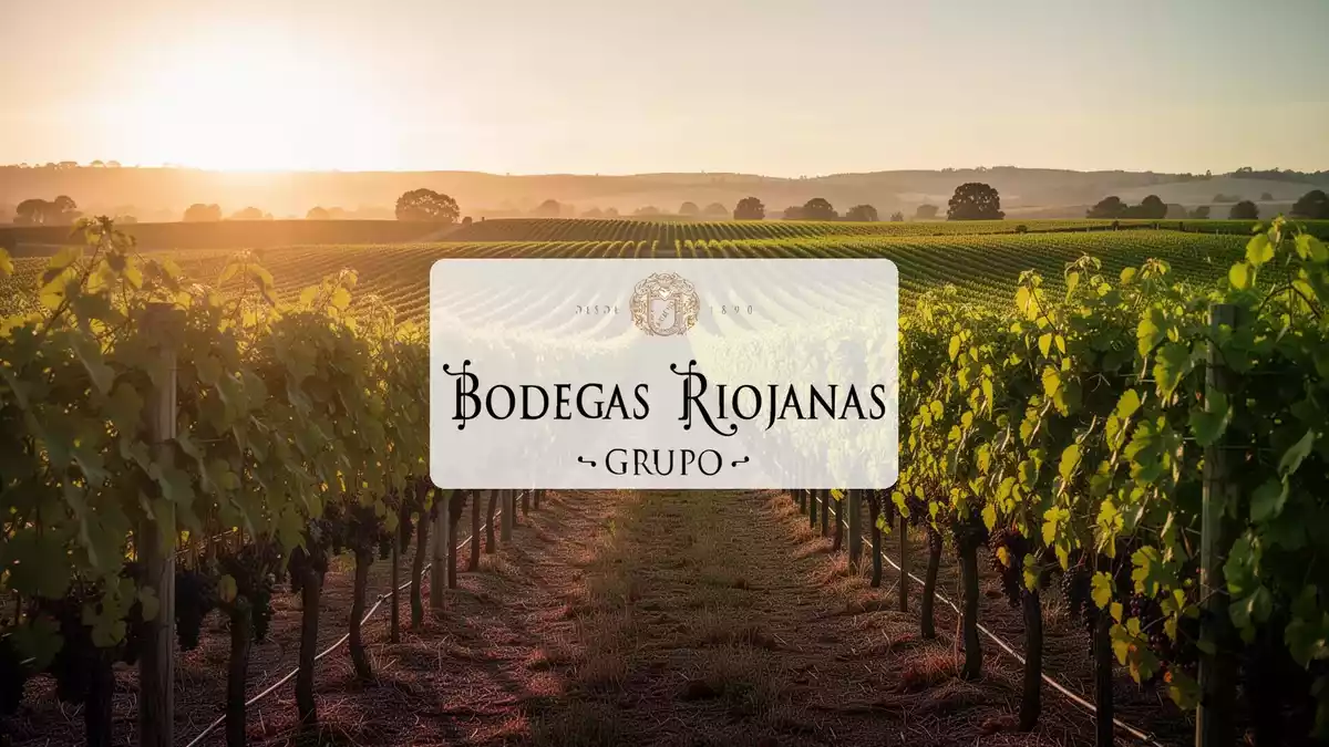 Bodegas Riojanas: Gevisa hält nach Kapitalschnitt 90 Prozent