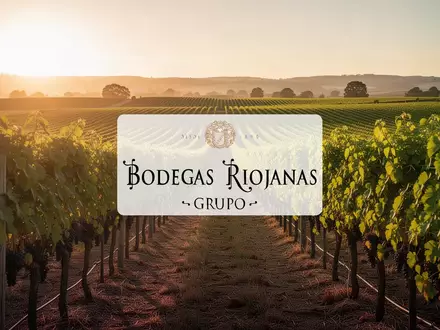 Sonnendurchflutete Weinberge in den goldenen Abendstunden, die eine Atmosphäre von Wachstum und Investition vermitteln. - Foto: über boerse-global.de