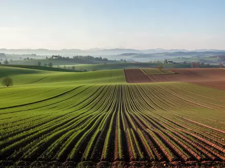 Weite, gepflegte Ackerflächen und grüne Wiesen in einer Schweizer Hügellandschaft bei natürlichem Tageslicht. - Foto: über boerse-global.de