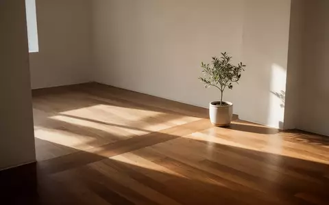 Ein minimalistischer, lichtdurchfluteter Raum mit klaren architektonischen Linien und einer einzelnen Pflanze. - Foto: über boerse-global.de