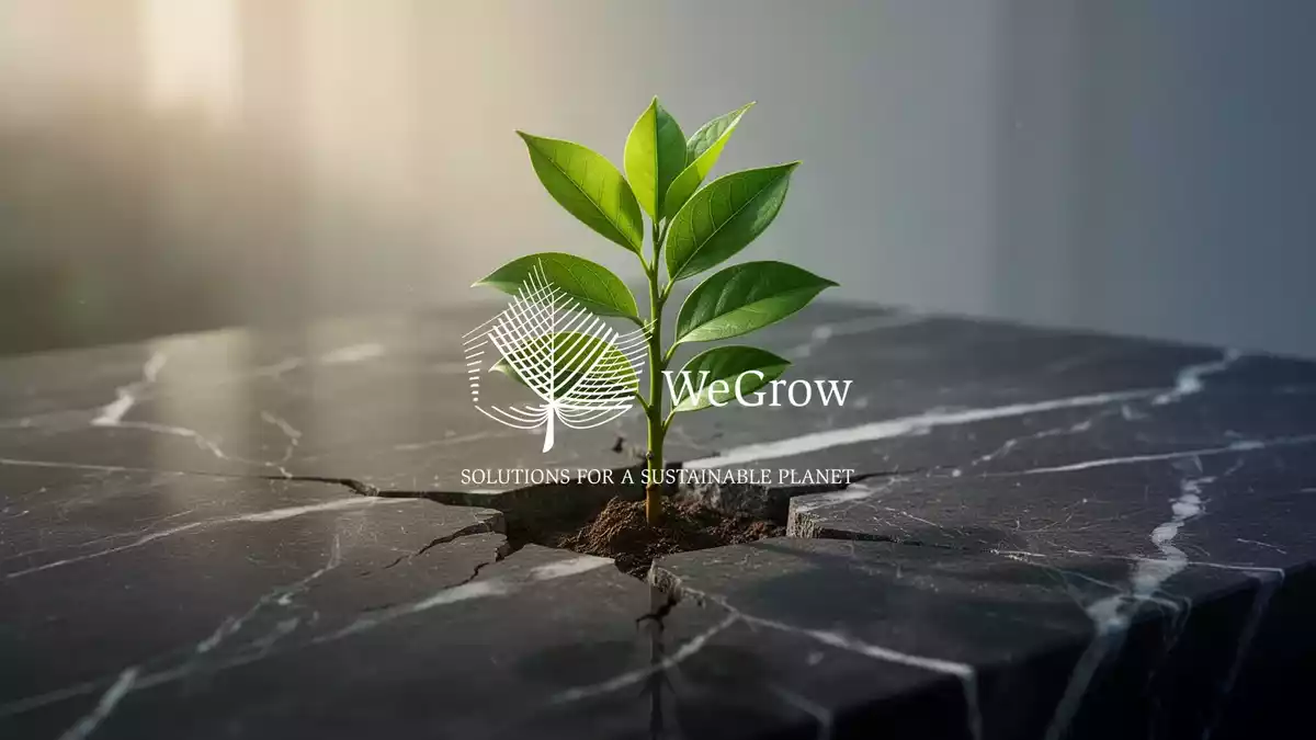 WeGrow Aktie: PLANTS-Geschäft führt im ersten Halbjahr 2026 in die Gewinnzone