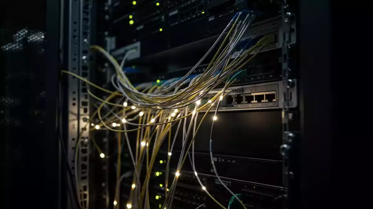 Wireshark 4.6.9 und 4.4.19 schließen 19 Sicherheitslücken