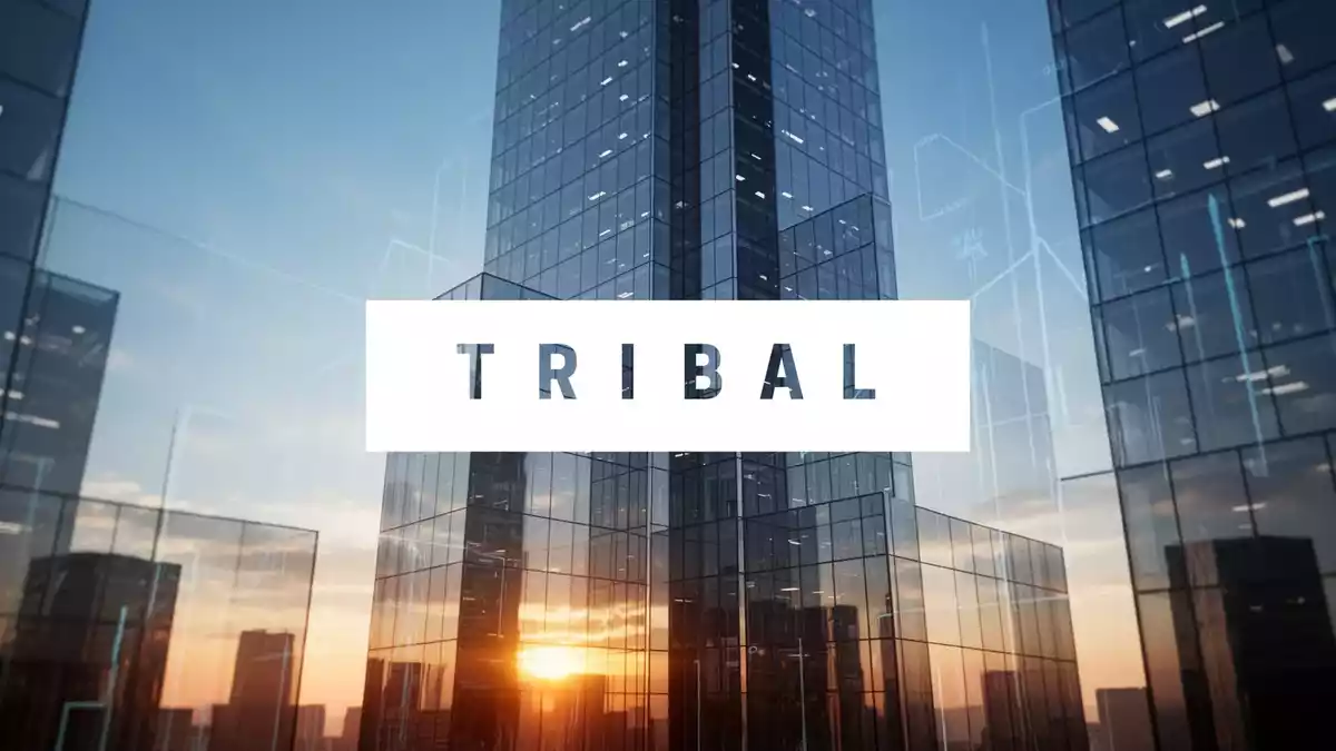 Tribal: Main Capital erhöht Kaufpreis auf 231,2 Millionen GBP