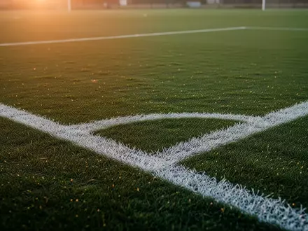 Ein leerer, saftig grüner Fußballplatz mit weißen Linien in der Abendsonne. - Foto: über boerse-global.de