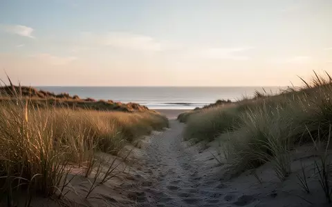 Ein leerer Küstenpfad schlängelt sich bei Tagesanbruch durch eine Dünenlandschaft mit hohem Dünengras. - Foto: über boerse-global.de