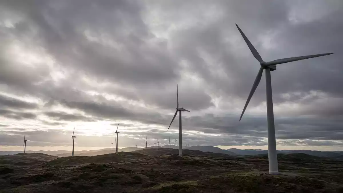 Vortex Energy: 15 Prozent Kursverlust vor geplantem Meadows-Zukauf