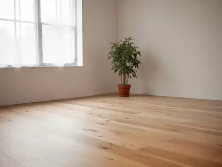 Ein heller, minimalistischer Übungsraum mit Holzboden und einer einzelnen Pflanze in einer Ecke bei sanftem Tageslicht. - Foto: über boerse-global.de