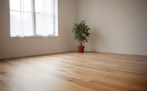 Ein heller, minimalistischer Übungsraum mit Holzboden und einer einzelnen Pflanze in einer Ecke bei sanftem Tageslicht. - Foto: über boerse-global.de