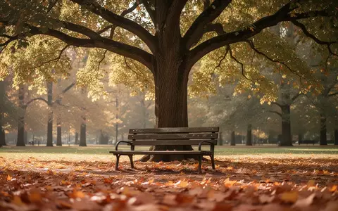 Eine ruhige Parkbank unter einem großen Baum in einer herbstlichen Landschaft mit fallendem Laub. - Foto: über boerse-global.de