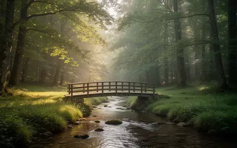 Eine friedliche Waldlichtung mit einer kleinen Holzbrücke über einen sanft fließenden Bach bei natürlichem Sonnenlicht. - Foto: über boerse-global.de