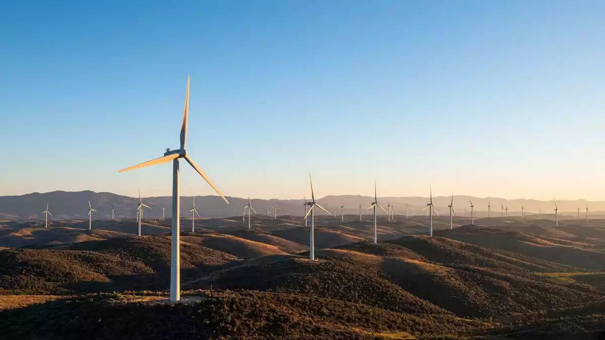 Vortex Energy: Meadows-Projekt und Genehmigungsverfahren
