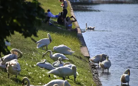 Sommer (Archiv) - Foto: via dts Nachrichtenagentur