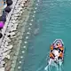 Der Hai Bukang-i ist in Busan zum Touristenmagneten geworden. - Bild: -/YNA/dpa