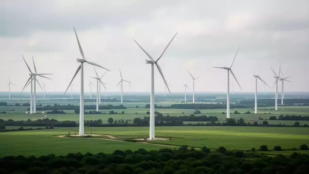 Ningbo Energy steigt: Windkraftkauf und Kapitalmaßnahmen geplant