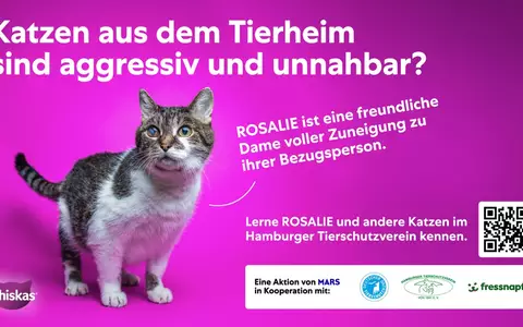 Mars-Studie: Unsicherheiten bremsen Tieradoptionen - Hamburger Kampagne schafft Orientierung - Foto: presseportal.de