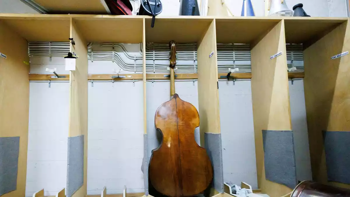 Das Orchester will sich trotz Sanierung seinen Klang bewahren. - Bild: Carsten Koall/dpa